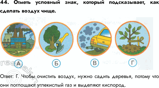 ����������� 44. ������ �������� ����, ������� ������������, ��� ������� ������ ����.�����: �. ����� �������� ������, ����� ������ �������, ������ ��� ��� ��������� ���������� ���...