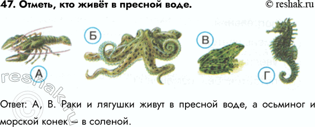 ����������� 47. ������, ��� ���� � ������� ����.�����: �, �. ���� � ������� ����� � ������� ����, � �������� � ������� ����� � �...