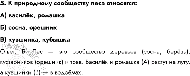 ����������� 5. � ���������� ���������� ���� ���������:A) ������, ��������) �����, �������B) ��������, ������������: �. ��� � ��� ���������� �������� (�����, �����),...