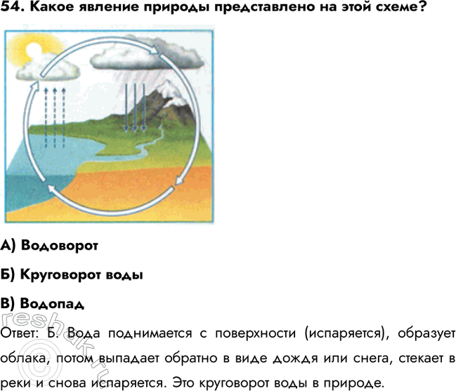 ����������� 54. ����� ������� ������� ������������ �� ���� �����?�) ����������) ���������� �����) ������������: �. ���� ����������� � ����������� (����������), ��������...