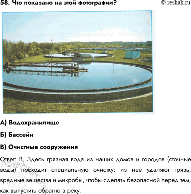 ����������� 58. ��� �������� �� ���� ����������?A) ��������������) ��������) �������� ���������������: �. ����� ������� ���� �� ����� ����� � ������� (������� ����) ��������...