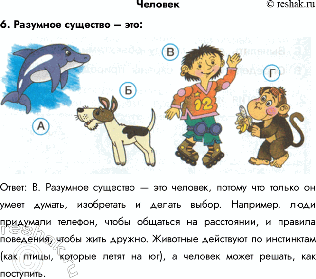 ����������� �������6. �������� �������� � ���...�����: �. �������� �������� � ��� �������, ������ ��� ������ �� ����� ������, ���������� � ������ �����. ��������, ���� ���������...