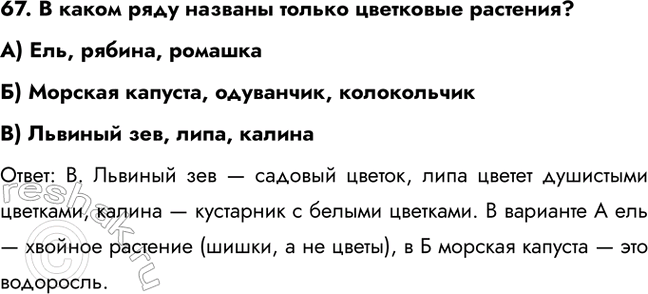 ����������� 62. ����������� �� ������� ���� ����������, ���:A) � ����� ���� �������) � ����� ���� �����) � ����� ���� �������������: �. ��� ���������� ����� �� �����, ���...