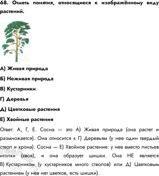 ����������� 63. ��� �� ������ � ������ �����?�) �������) ����B) ���������) ������) ������) �����������: �. ����� ������� �� ���������� ������ ������: � ��� �����������...