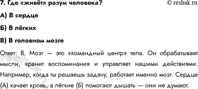 ����������� 7. ��� ����� ����� ��������?A) � �������) � �����B) � �������� ����������: �. ���� � ��� ���������� ����� ����. �� ������������ �����, ������ ������������ �...