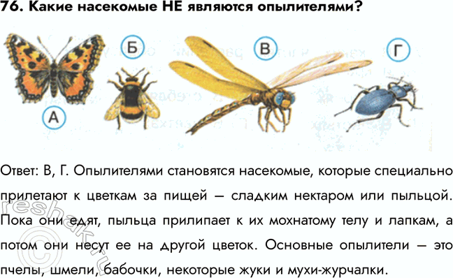 ����������� 71. � ����� ������ �������� ���������� ����� � �������?�) � �������) � �������B) � ��������) � ������������: �. ����� � ������� � ��� ������ ���� ��� ��������....