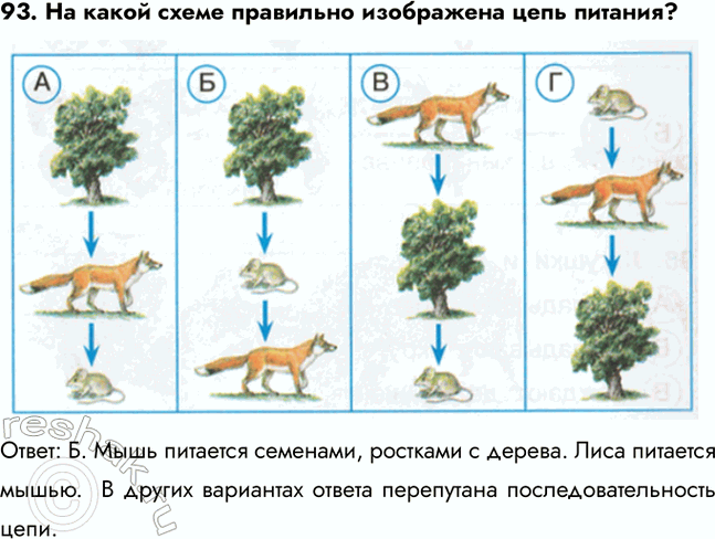 ����������� 93. �� ����� ����� ��������� ���������� ���� �������?�����: �. ���� �������� ��������, �������� � ������. ���� �������� �����.  � ������ ��������� ������ ����������...