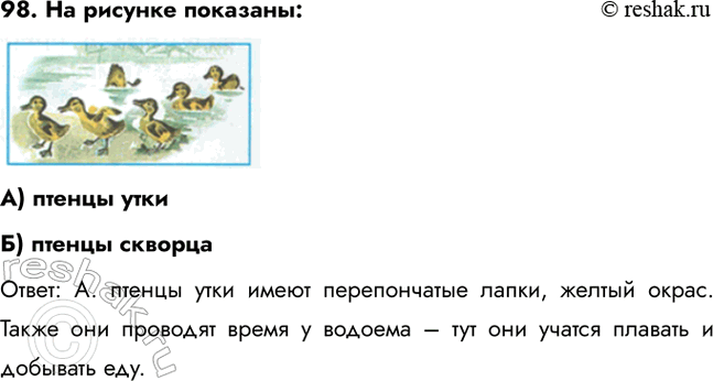 ����������� 93. �� ����� ����� ��������� ���������� ���� �������?�����: �. ���� �������� ��������, �������� � ������. ���� �������� �����.  � ������ ��������� ������ ����������...