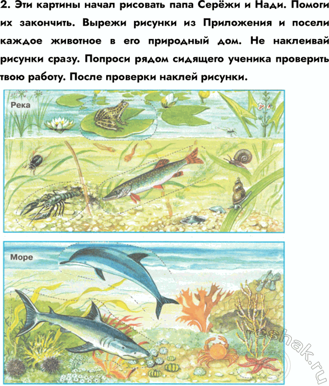 ����������� 2. ��� ������� ����� �������� ���� ����� � ����. ������ �� ���������. ������ ������� �� ���������� � ������ ������ �������� � ��� ��������� ���. �� ��������� �������...