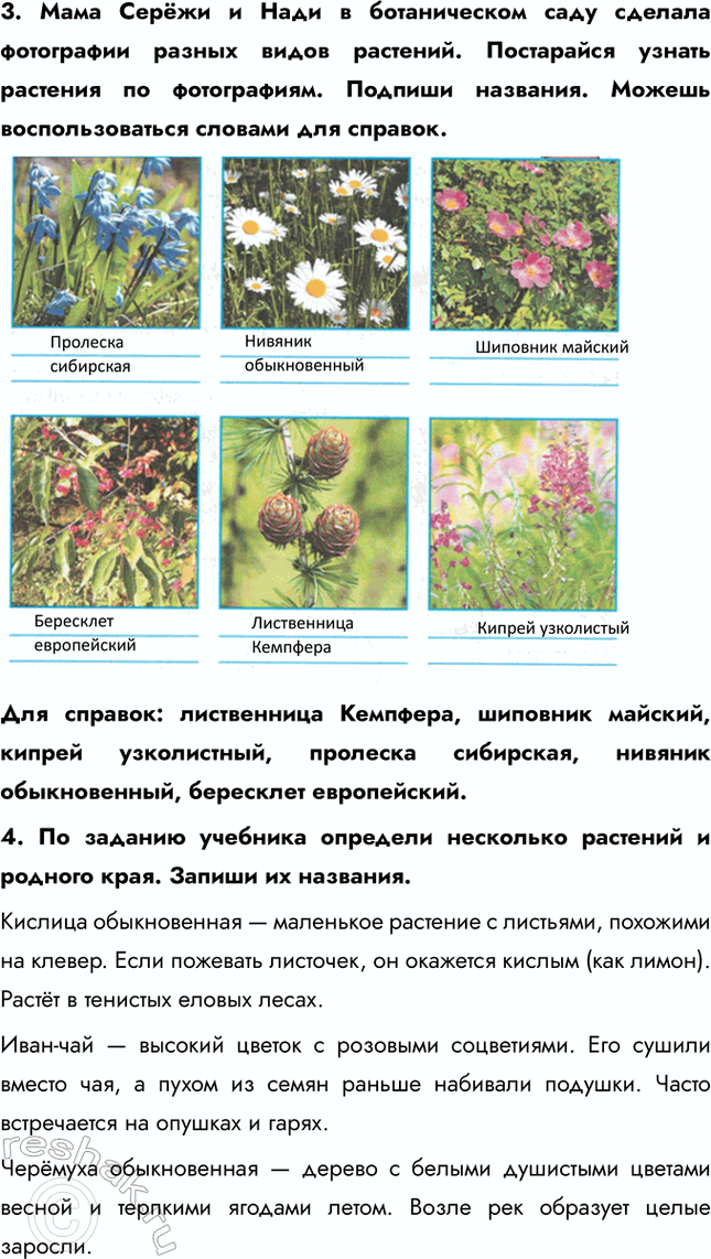 ����������� 3. ���� ����� � ���� � ������������ ���� ������� ���������� ������ ����� ��������. ���������� ������ �������� �� �����������. ������� ��������. ������ ���������������...