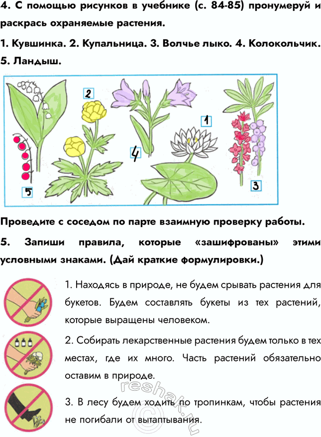 ����������� 4. � ������� �������� � �������� (�. 84-85) ���������� � �������� ���������� ��������.1. ��������. 2. ����������. 3. ������ ����. 4. �����������. 5. ������.���������...