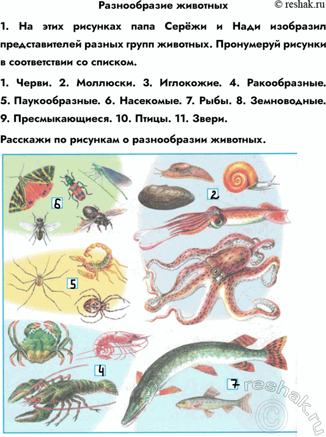 ����������� ������������ ��������1. �� ���� �������� ���� ����� � ���� ��������� �������������� ������ ����� ��������. ���������� ������� � ������������ �� �������.1. �����. 2....