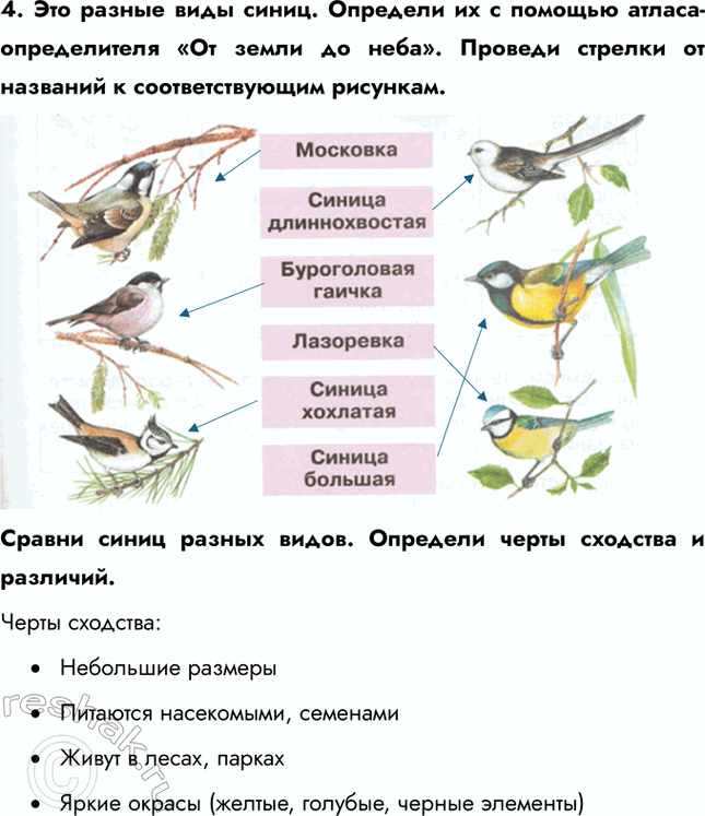 �������������� �����������