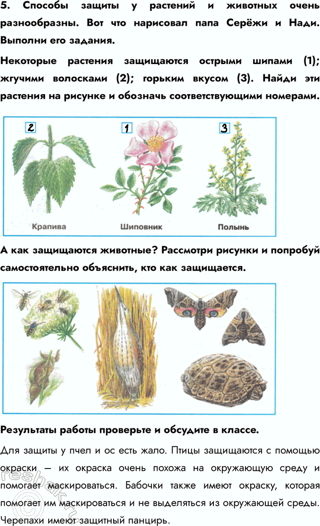 ����������� 5. ������� ������ � �������� � �������� ����� ������������. ��� ��� ��������� ���� ����� � ����. ������� ��� �������.��������� �������� ���������� ������� ������ (1);...