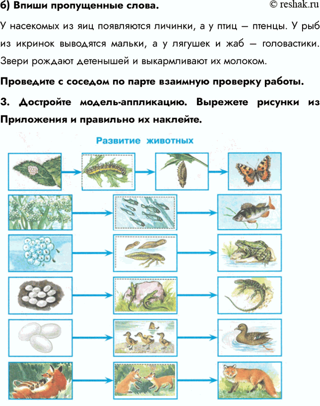 �������������� �����������