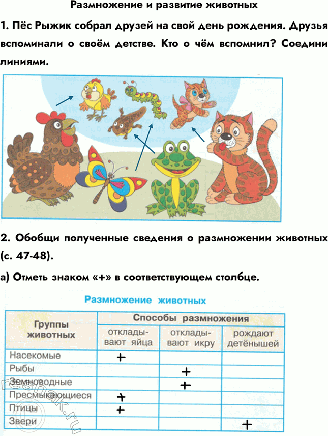 ����������� ����������� � �������� ��������1. ϸ� ����� ������ ������ �� ���� ���� ��������. ������ ���������� � ���� �������. ��� � ��� ��������? ������� �������.2. ������...