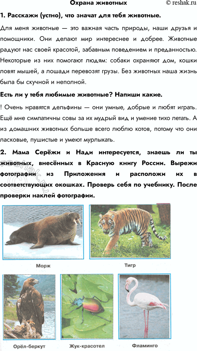 ����������� ������ ��������1. �������� (�����), ��� ������ ��� ���� ��������. ��� ���� �������� � ��� ������ ����� �������, ���� ������ � ���������. ��� ������ ��� ���������� �...