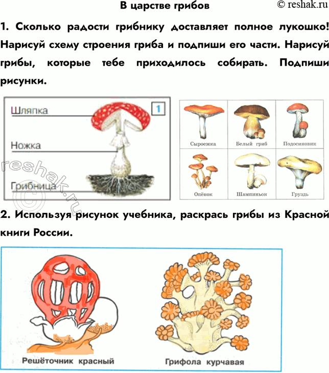 ����������� � ������� ������1. ������� ������� �������� ���������� ������ �������! ������� ����� �������� ����� � ������� ��� �����. ������� �����, ������� ���� �����������...