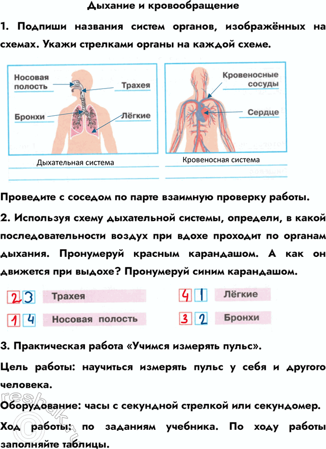 ����������� ������� � ��������������1. ������� �������� ������ �������, ����������� �� ������. ����� ��������� ������ �� ������ �����.��������� � ������� �� ����� ��������...