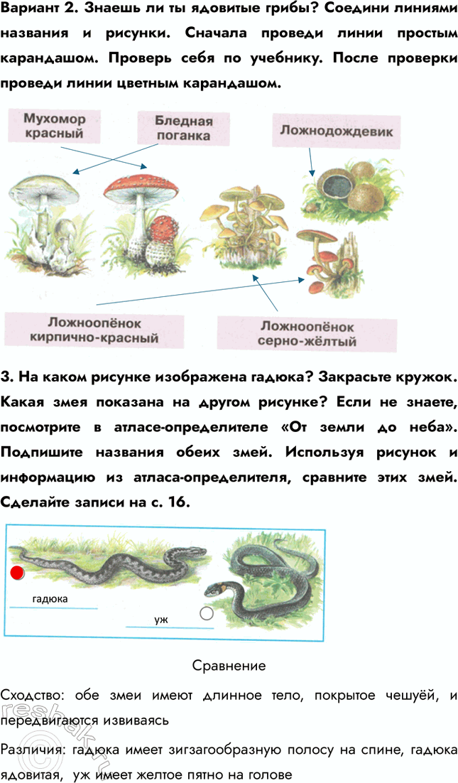 �������������� �����������