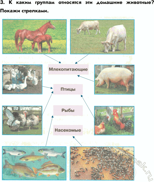 ����������� �������� 34 ����� 2 ��� ������� ������� �������� 3 �����