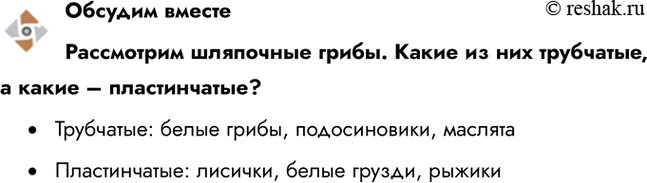 ����������� ������� ���������������� ��������� �����. ����� �� ��� ���������, � ����� � ������������?�	���������: ����� �����, ������������, ��������	������������: �������,...