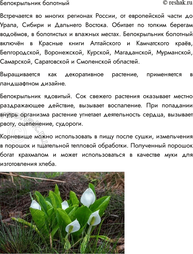 �������������� �����������