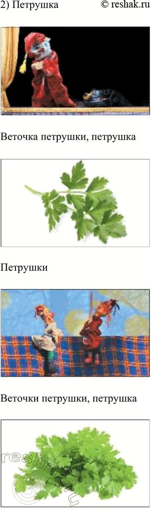 �������������� �����������