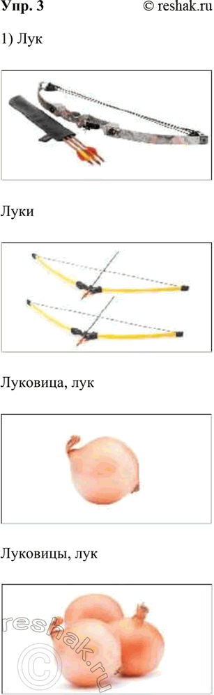 ����������� 3. ������� ������� � ���������. ������ ��������: ���� ����� ����� ������������ ��������� ���.1) ��������, ��������, ���, ����2) ��������, ��������, ��������, �������...