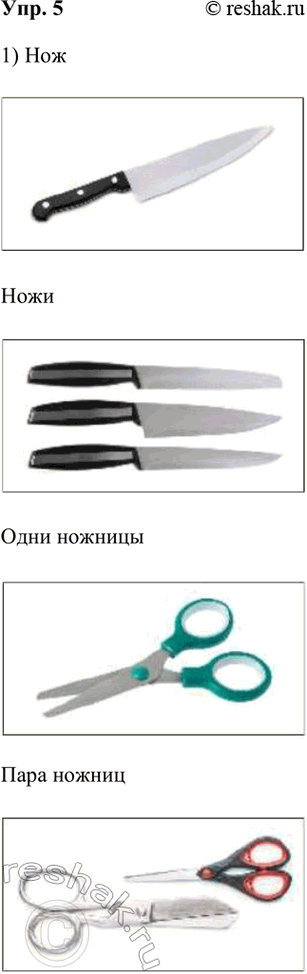 ����������� 5. ������� ������� � ���������. ������ ��������: ���� ����� ��� ��������� ���� ����� ������������ ��������� ���.1) ���, �������, ����, ���� �������, ���� ������2)...