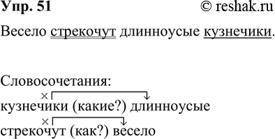  51. .   . .    :   .  ...