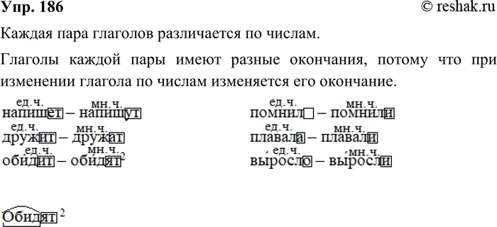 ����������� 186. ����������. � ��� �������� ������ ���� ��������?����� 1������� � ����� ��������� � ������� ����� � ����� ��������� ���������.����� 2������ ���� ��������...