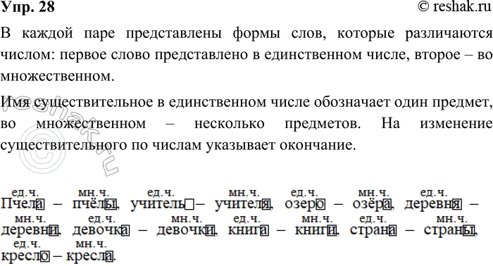 ����������� 28. ����������. � ��� �������� � �������� ���� � ������ ����?����� - ����� ������� - �������������� - ������� ����� - ���������� - ���� ������ - ������������� -...