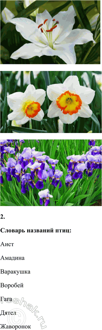 �������������� �����������