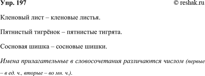 ����������� 197. ��������� �������������� �� ��������. ��� ����������� ����� �������������� � ���� ���������������?�������� ���� � �������� ������.��������� ������� �...