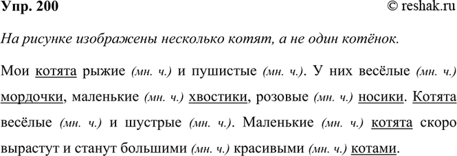 ����������� 200. ����������� ������� � ���������� ��������� ������� � ����. ��� � �������� �� ���?��� ������ ����� � ��������. � ���� ������ ��������, ��������� �������, �������...