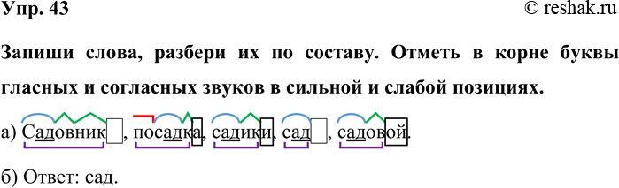 Изображение Упр. 43  Запиши слова, разбери их по составу. Отметь в корне буквы гласных и согласных звуков в...