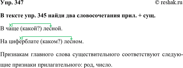 Изображение Упр. 347  В тексте упр. 345 найди два словосочетания прил. + сущ.  В чаще (какой?) лесной.  На...