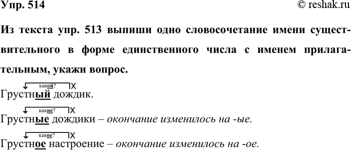 Изображение Упр. 514  Из текста упр. 513 выпиши одно словосочетание имени существительного в форме...