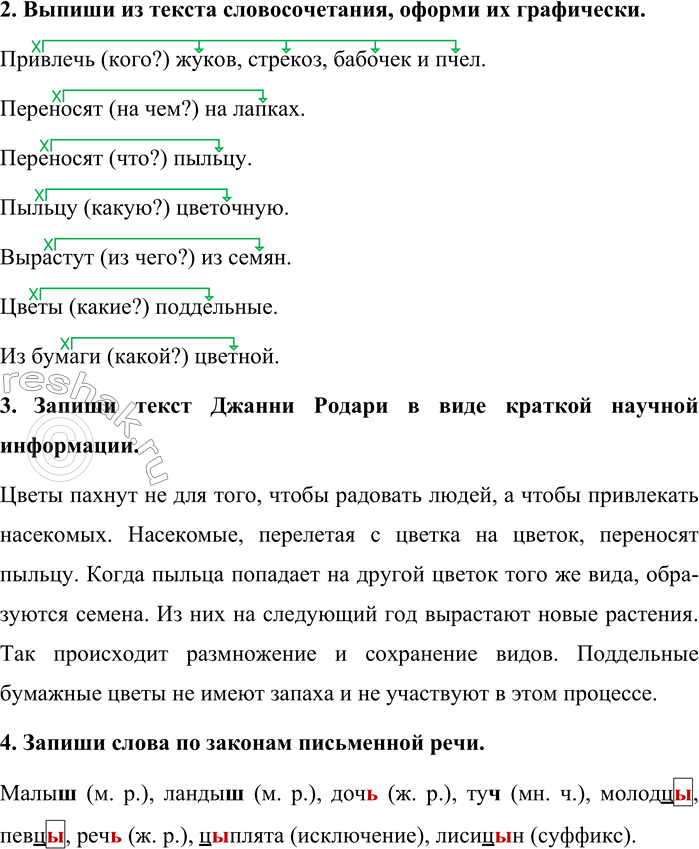 Дополнительное изображение