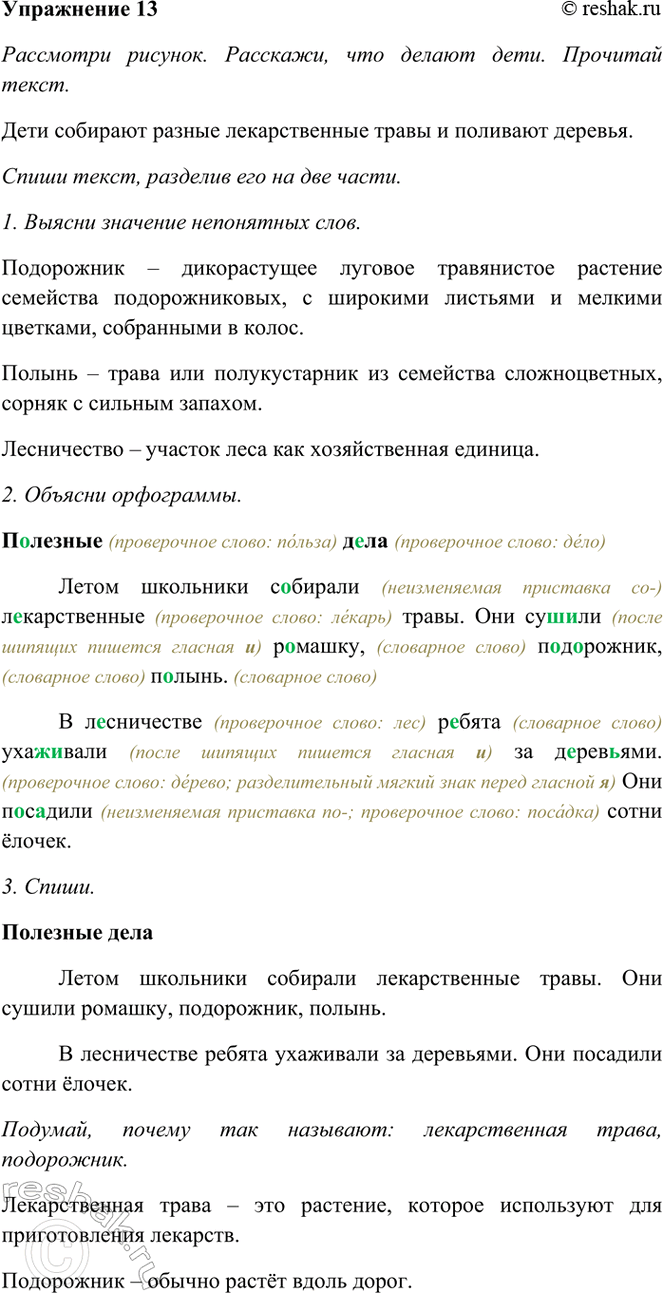 ����������� 13. ��������� �������. ��������, ��� ������ ����. �������� �����.�������� ��������� ��������� �������� ������������� �����. ��� ������ �������, ����������, ������. �...