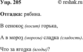 ����������� 205. ������� �������.� ������� ������,� � ����� ������.��� �� ������? (����)������ ������� �� ������.��������� ����� ��� ���������, ������� �����...