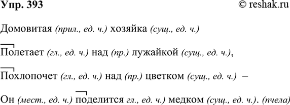 ����������� 393. ������� �������.��������� ������� �������� ��� ��������,���������� ��� ������� ��� ��������� ������.	(��)������ �� ������ ������ � �������� (������� �...