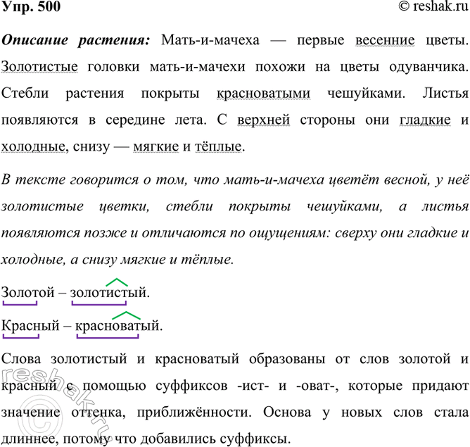 ����������� 500. �������� �����. �������� ���.����-�-������ � ������ �������� �����. ���������� ������� ����-�-������ ������ �� ����� ����������. ������ �������� �������...