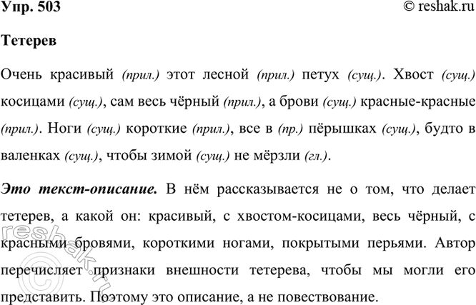 ����������� 503. ��������.������������ �������� ���� ������ �����. ����� ��������, ��� ���� ������, � ����� �������-�������. ���� ��������, ��� � �������, ����� � ��������,...