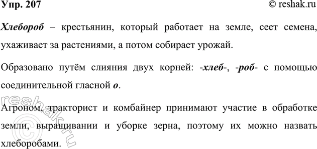 Изображение 207. Прочитайте загадку. Объясните отгадку.  Мудрец в нём видел мудреца,  Глупец — глупца, ...