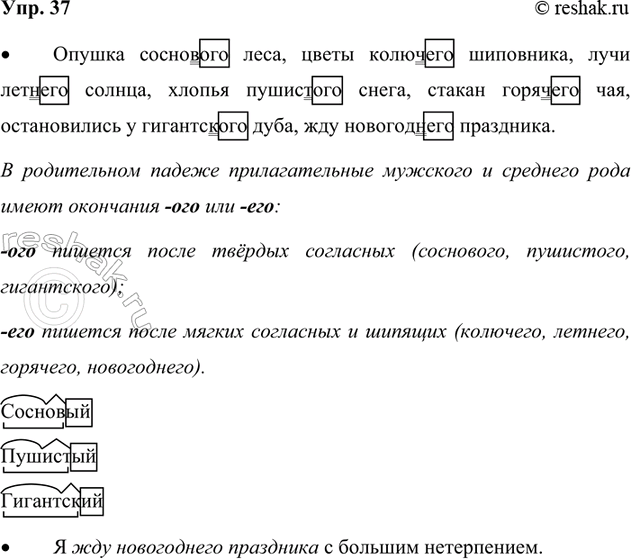 Изображение 37. Прочитайте.  Опушка (сосновый2) леса, цветы (колючий) шиповника, лучи (летний) солнца, хлопья...