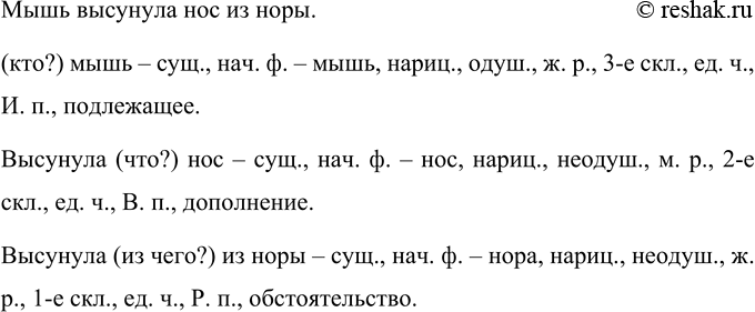 Изображение Спишите предложение. Все имена существительные разберите как части речи.  Мышь высунула нос...