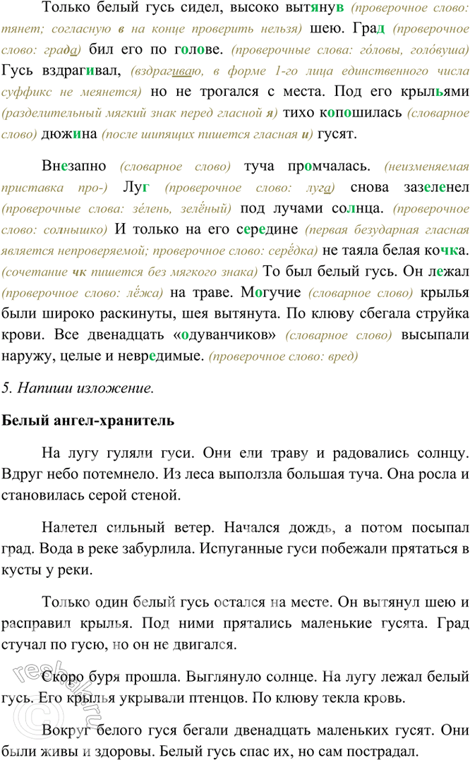 �������������� �����������