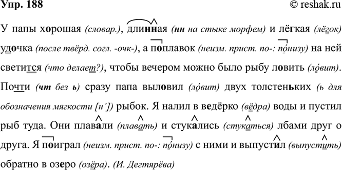 Изображение 188. Орфографический практикум.  У папы хорошая, дли(н/нн)ая и лё..кая уд..чка, а п..плавок на пей...